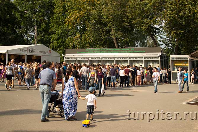 Очередь в нижний парк Петергофа