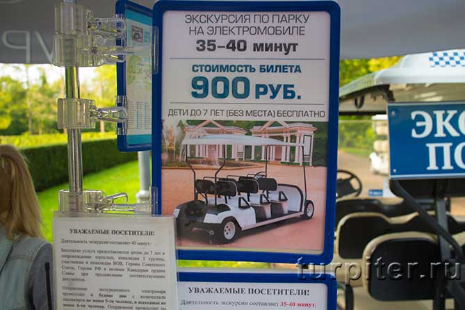 Электроавтомобиль стоимость в Петергофе