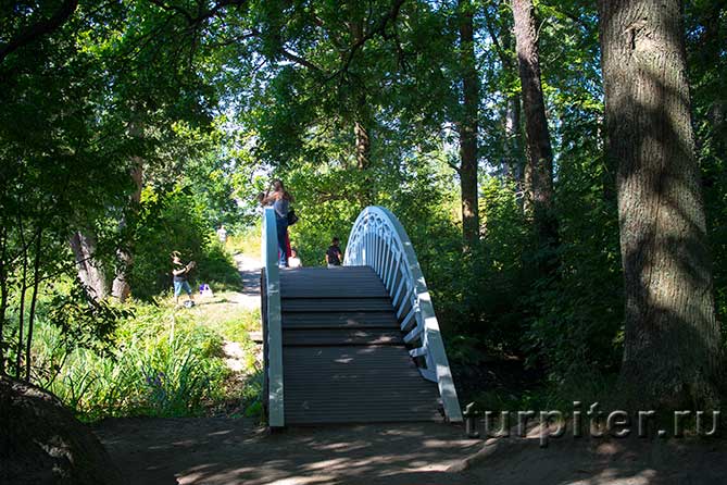 мостик в парке Монрепо