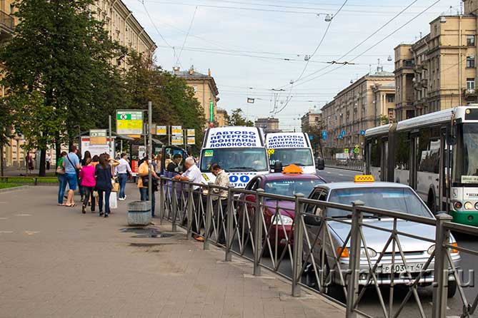 маршрутка автобус петергоф транспорт
