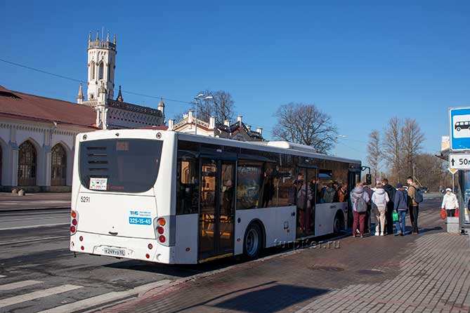 муниципальный автобус до петергофа