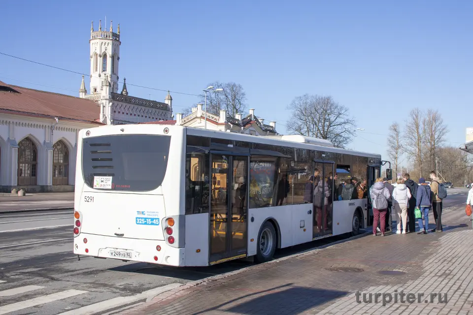 автобус от железнодорожного вокзала до фонтанов петергофа