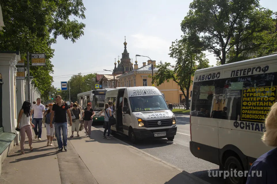 автобус санкт-петербург - петергоф правленская улица