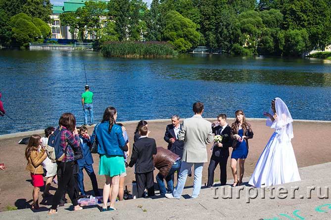 свадьба на берегу пруда
