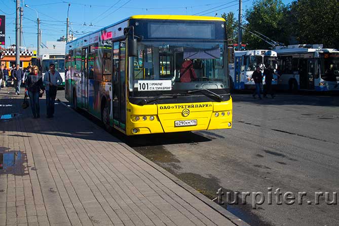 101 автобус в Кронштадт