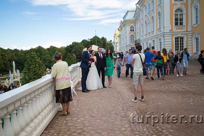Свадьба в Петергофе