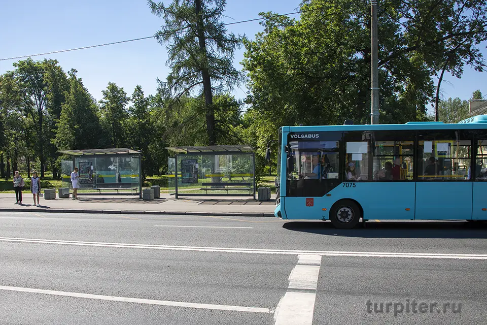 автобус остановка петергоф санкт-петербург разводная улица
