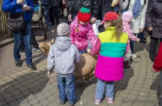 Ленинградский зоопарк дети кормят животных