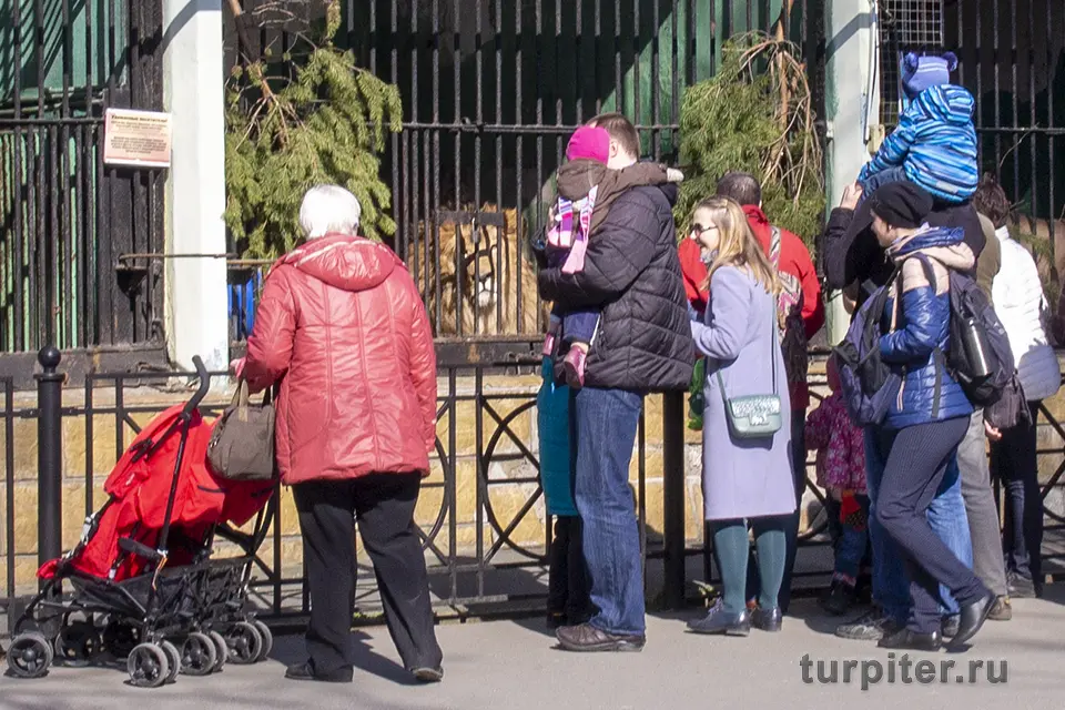 взрослые и дети в ленинградском зоопарке