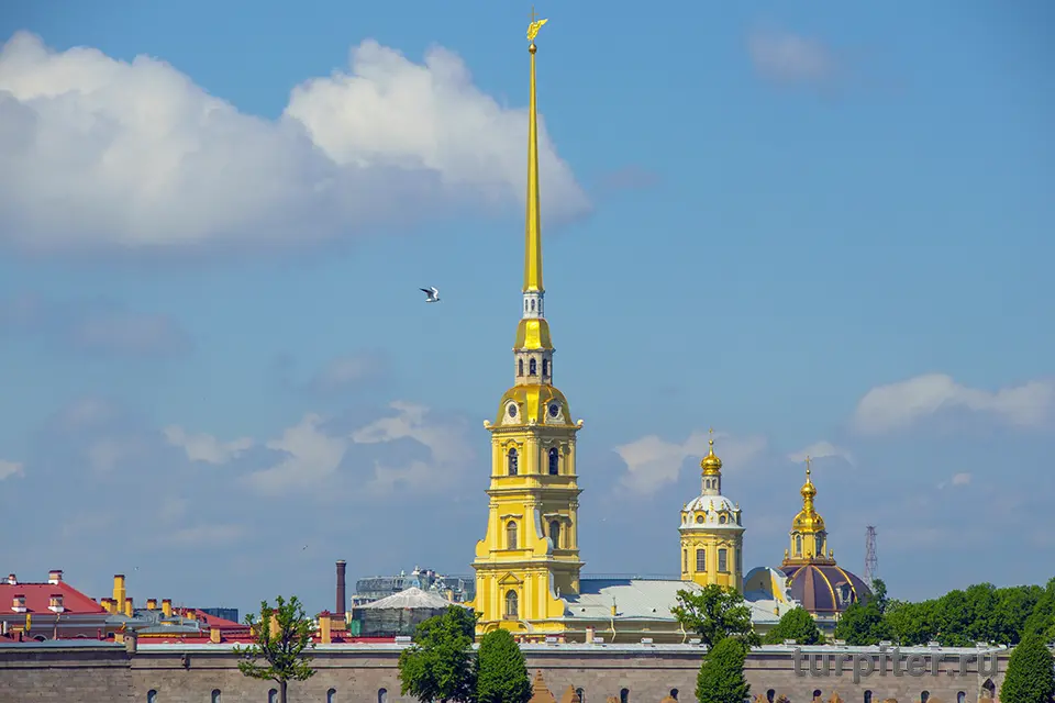 петропавловская крепость общий вид Петропавловская крепость в Санкт-Петербурге