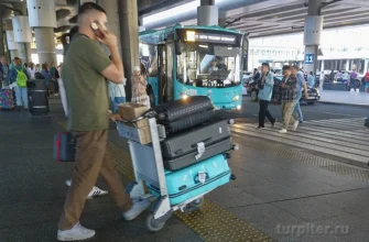 пассажир прилете в аэропорт Пулково Петербург