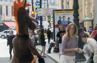 аниматор в костюме коня