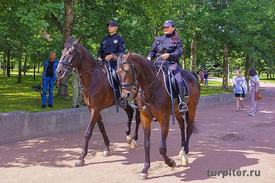 конная полиция в парке