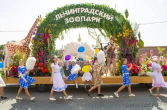 Фестиваль цветов платформа Ленинградский зоопарк