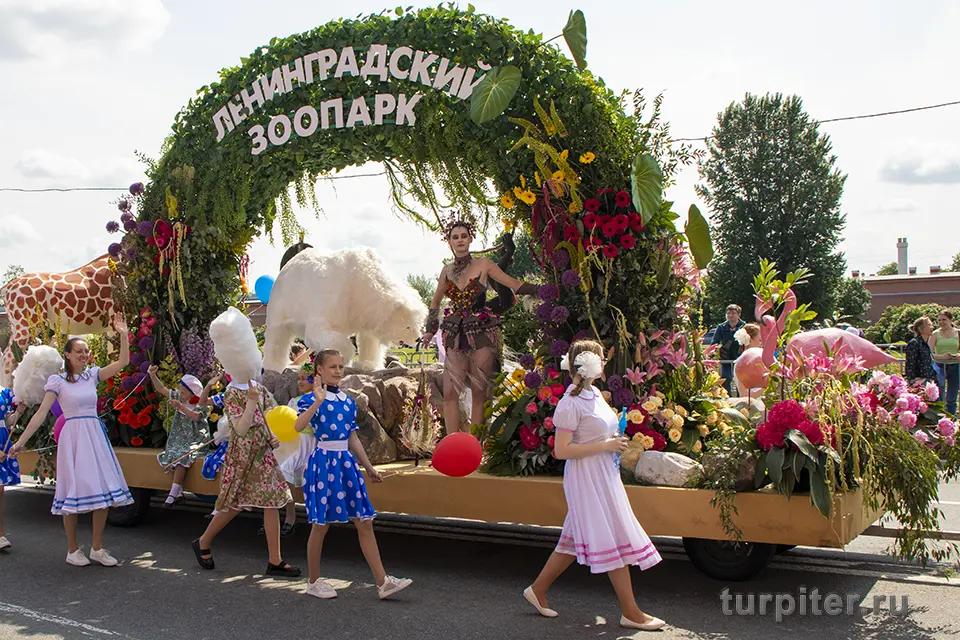 ленинградский зоопарк цветов фестиваль Фестиваль цветов Ленинградский зоопарк