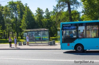 люди ждут автобус на остановке