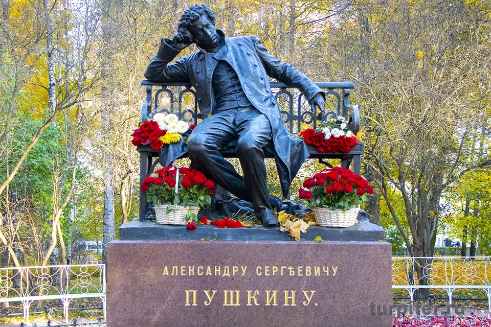 Пушкин Александр памятник Царское село