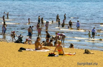люди загорают на пляже в Санкт-Петербурге
