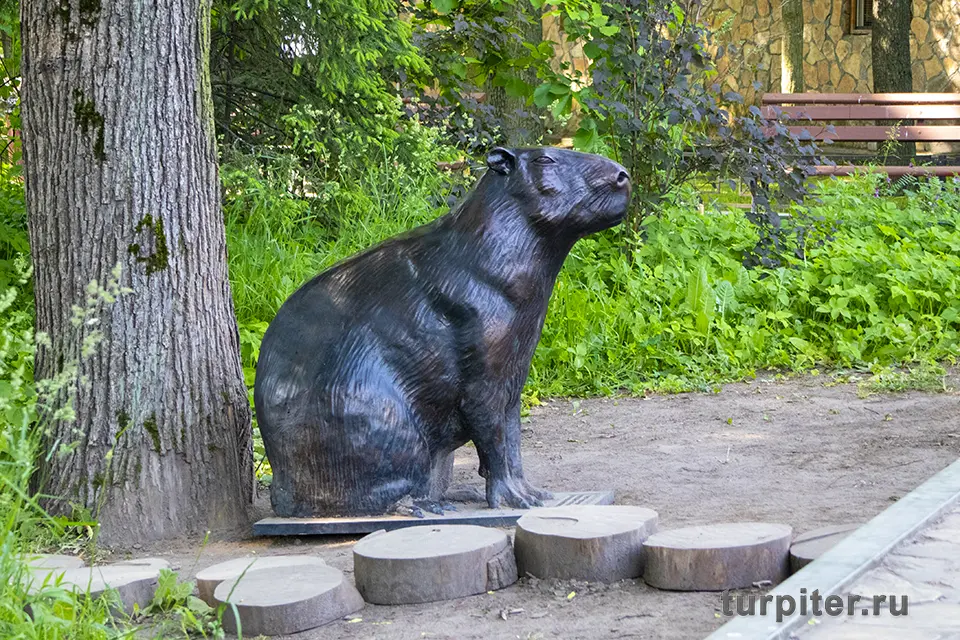 капибара в Петербурге скульптура в Зоопарке