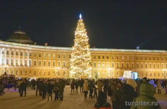 новогодняя елка на Дворцовой площади в Петербурге