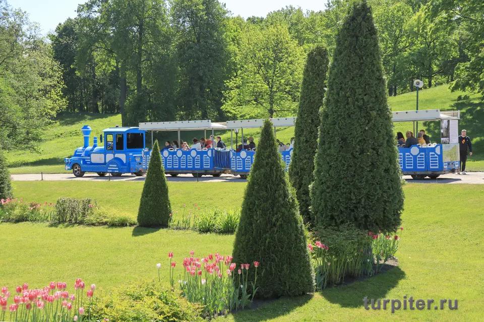паравозик александрия петергоф