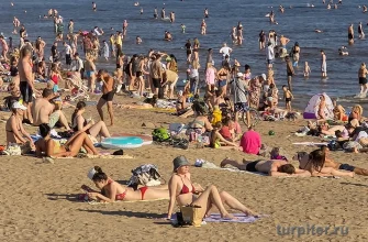 люди загорают на пляже Петербурга