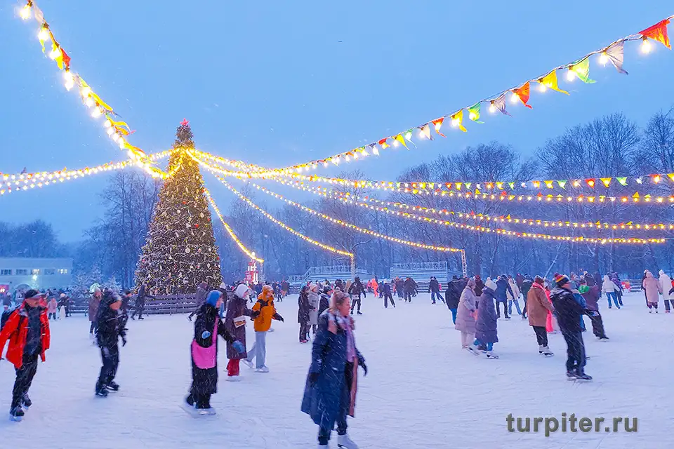 каток коньки елагин остров каток в парке елагин остров
