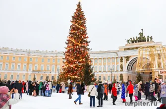 елка на дворцовой площади