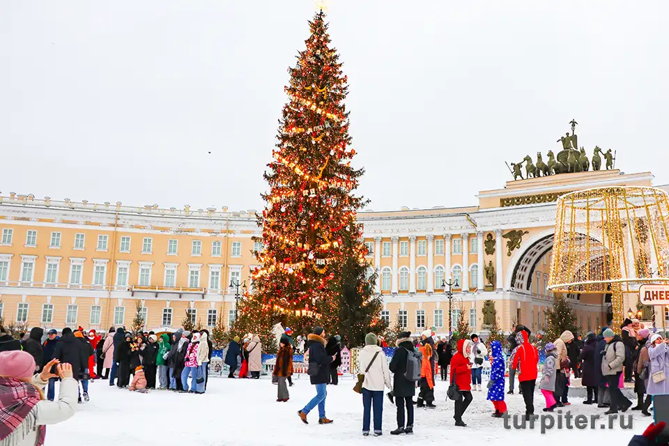 елка новый год елка на дворцовой площади